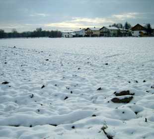 Der erste Schnee in Plattling