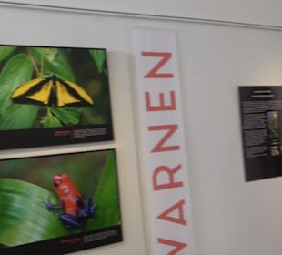 Museum für Ur- und Frühgeschichte