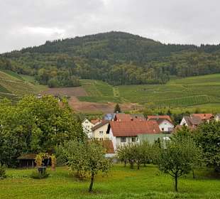 Wandern Mummelsee