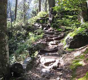 Wanderung durch den Märchenwald