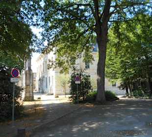 Im Garten des Naturkundemuseum Rouen
