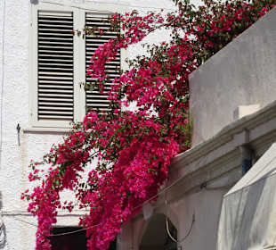 Eindrücke aus der Altstadt von Orosei