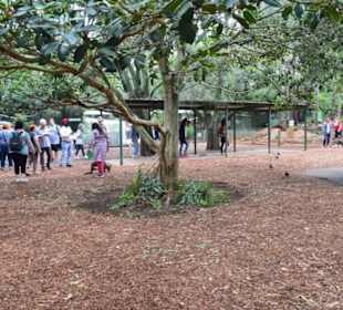 Feather Dale Wildlife Park