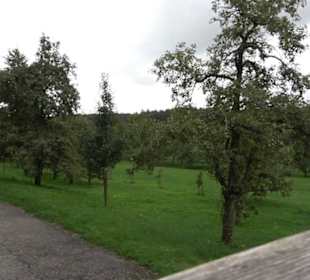 Erzabtei St. Ottilien