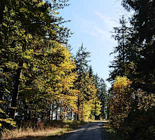 Wandern Mitterfirmiansreut