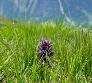 Wandern Ridnaun Ratschings