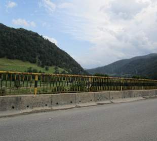 Valea Oltului / Olt-Tal 