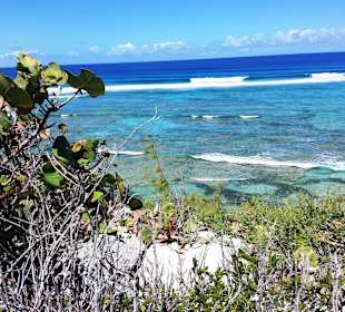 Ausblick aufs Meer von Light House