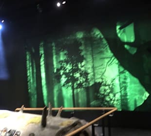 Naturparkzentrum Ruhestein