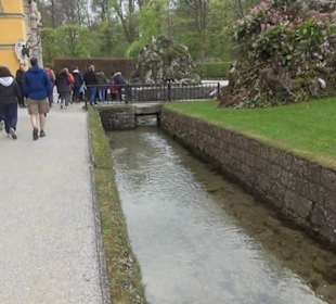 Sternweiher
