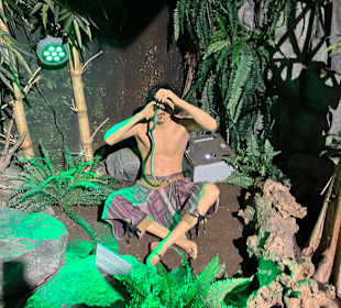 Museum Ripley's Believe It or Not!