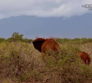 Traumhafte Landschaften