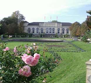 In der Flora