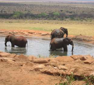 Wasserloch der Logde