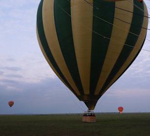 Hot Air Safari