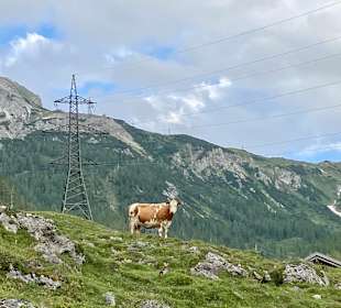 Wandern Flachau
