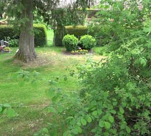 Friedhof Obermusbach