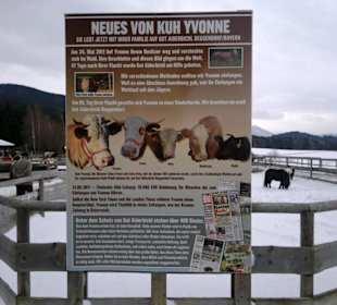 Gut Aiderbichl Infos