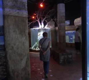 National Aquarium Malta