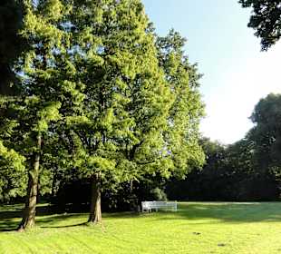 Spaziergang durch Knoops Park