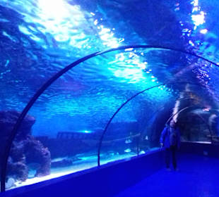 Aquarium Antalya
