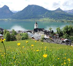 Wandern Sankt Wolfgang im Salzkammergut
