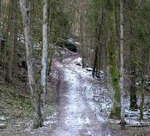 Anstieg in das obere Bärental