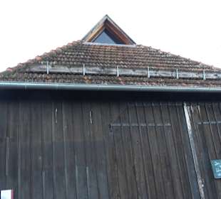 Obstbaumuseum Glems