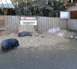 Adventmarkt auf Gut Aiderbichl 2016