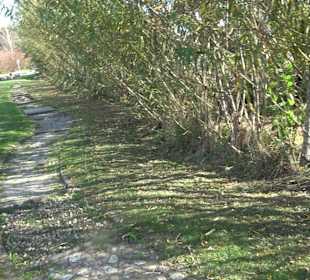 Park Oase der Gesundheit