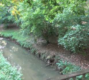 Alter Botanischer Garten