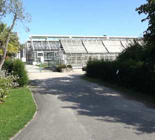 Gewächshäuser Botanischer Garten