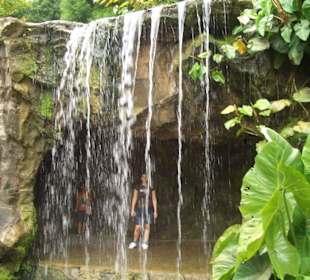 Botanischer Garten