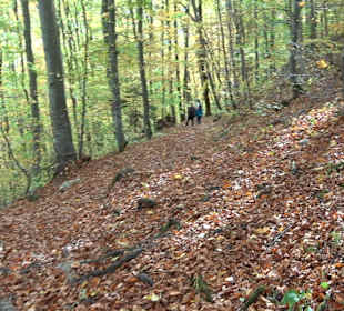 Wandertour "Rund um den Rossberg" Öschingen