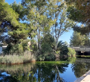 Stadtrundgang Platja de Muro / Playa de Muro