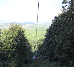 Ausblick