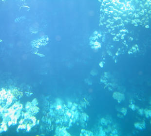 Tauchen/U-Bootsfahrt 