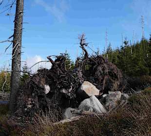 Riesengebirge/Karkonosze