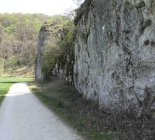 Waldlehrpfad an der Lauter