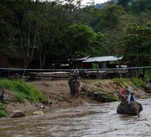 Maetang Elephant Camp