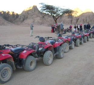 Quads machen Pause