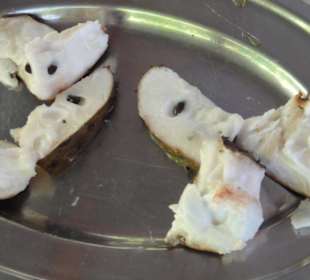 Samana-Las Terrenas Tour