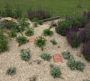 Blühendes Neresheim