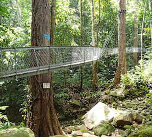 Beschilderter Dschungelpfad am Damai Beach