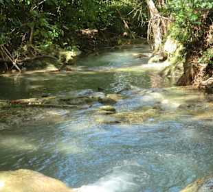 Blick auf die Ausläufer in den Mayfield Falls