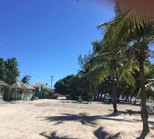 Ein kleines Dorf unter Palmen