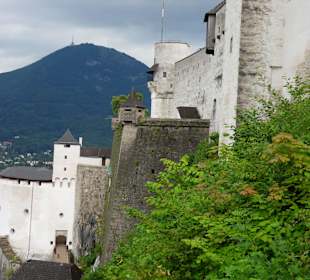 Widok z góry