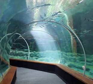 Aquarium