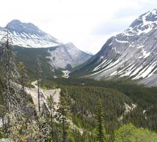 North Saskatchewan Valley Viewpoint