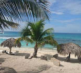 Ausflug Isla Catalina